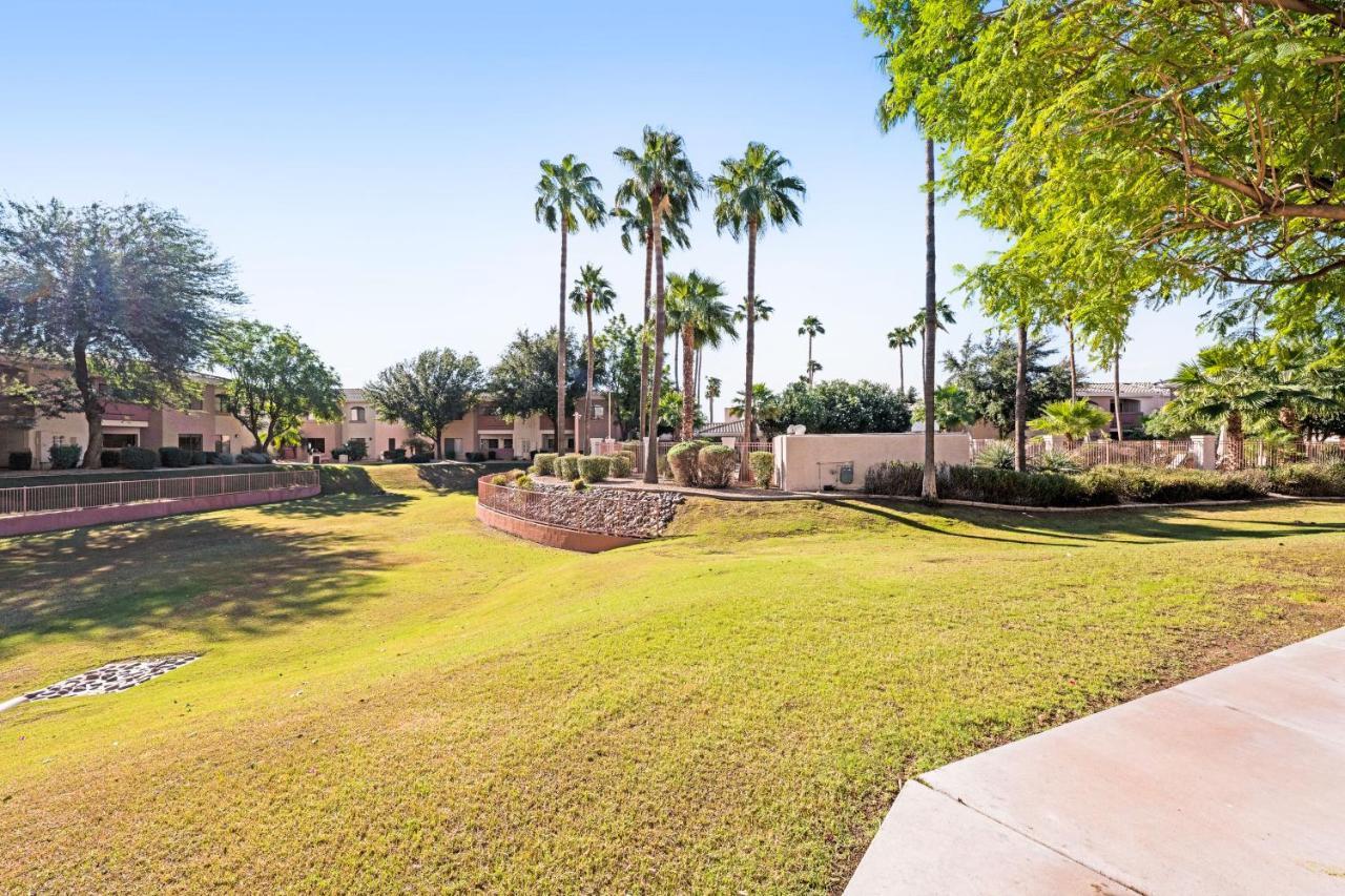 Desert Breeze #137 * Phoenix